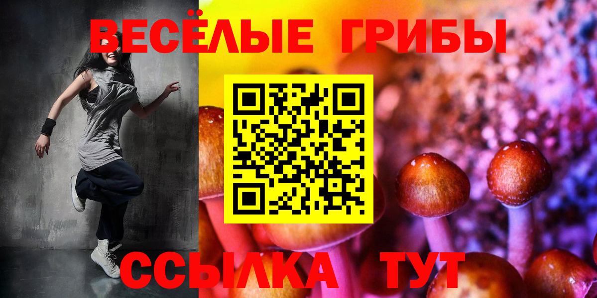 Галлюциногенные грибы мухоморы Фрязино